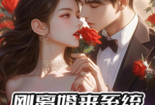 《刚离婚来系统，反手撩前妻闺蜜》小说免费阅读完整版-牛皮文学