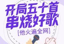 小说完整版《开局五十首串烧好歌，他火遍全网》免费阅读-牛皮文学