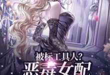 完结版《被标工具人？恶毒女配甩男主求自由》在线免费阅读-牛皮文学